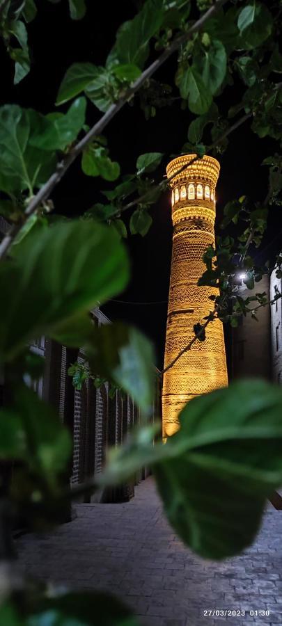 Nasyuqel Hotell Buchara Exteriör bild